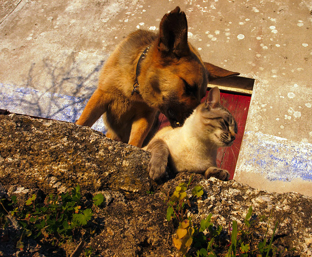 4招就讓SOHO族脫穎而出！