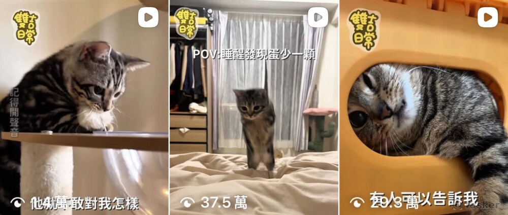 全權負責企劃、拍攝到後製