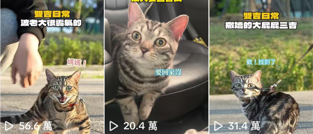 全權負責企劃、拍攝到後製