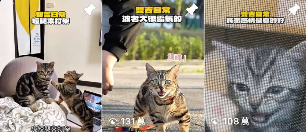 全權負責企劃、拍攝到後製