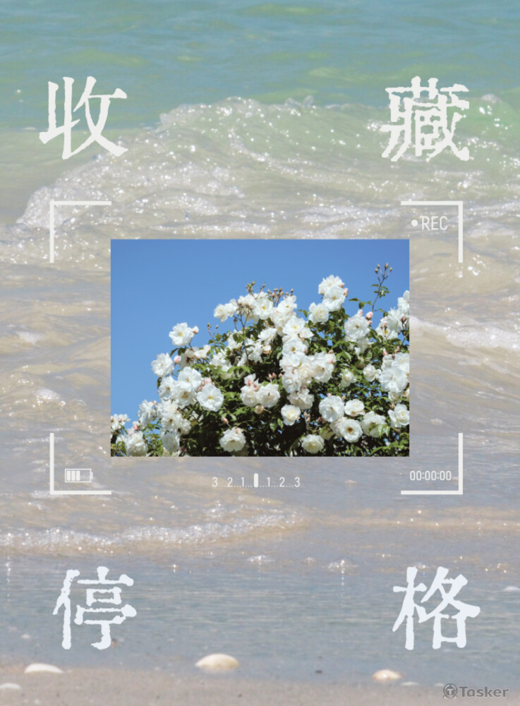 校刊封面主視覺設計(板中77期校刊「收藏停格」)