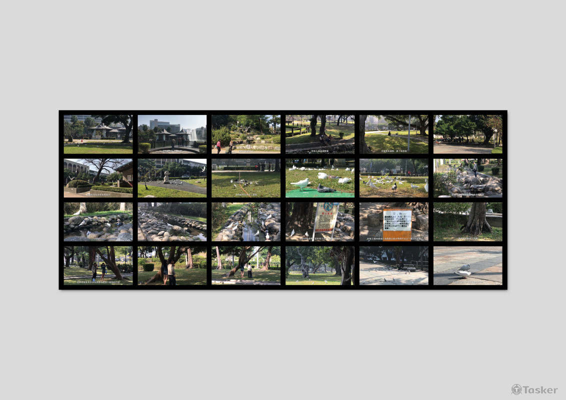 《PEOPＯ新聞－台中公園》攝影｜剪輯