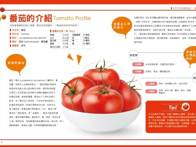 美術編輯、排版相簿