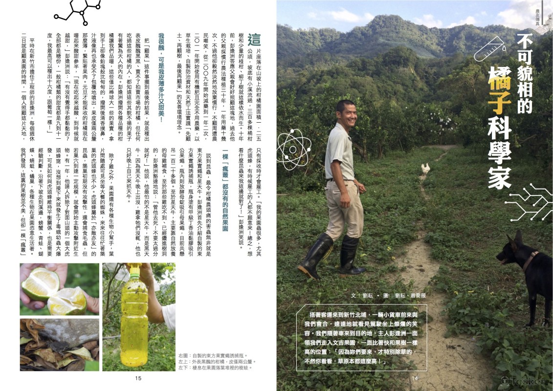 雜誌刊物排版（Indesign）