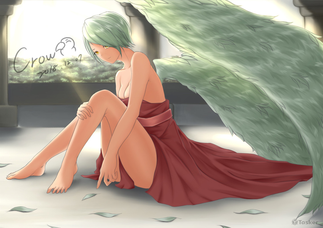 20181207_GreenWing_8h11m