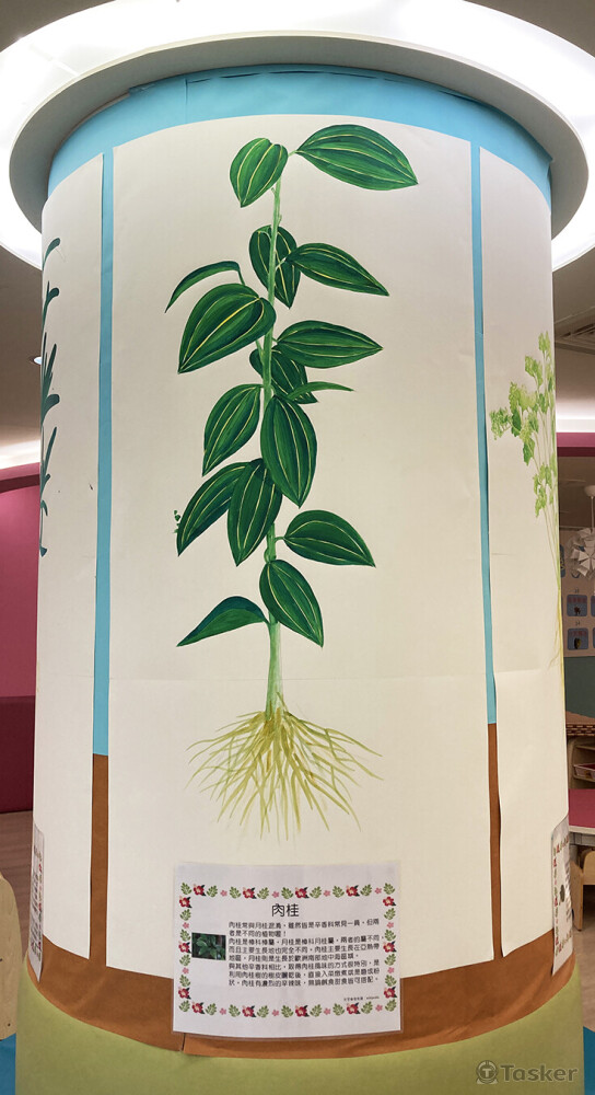 香料植物_壓克力於紙上