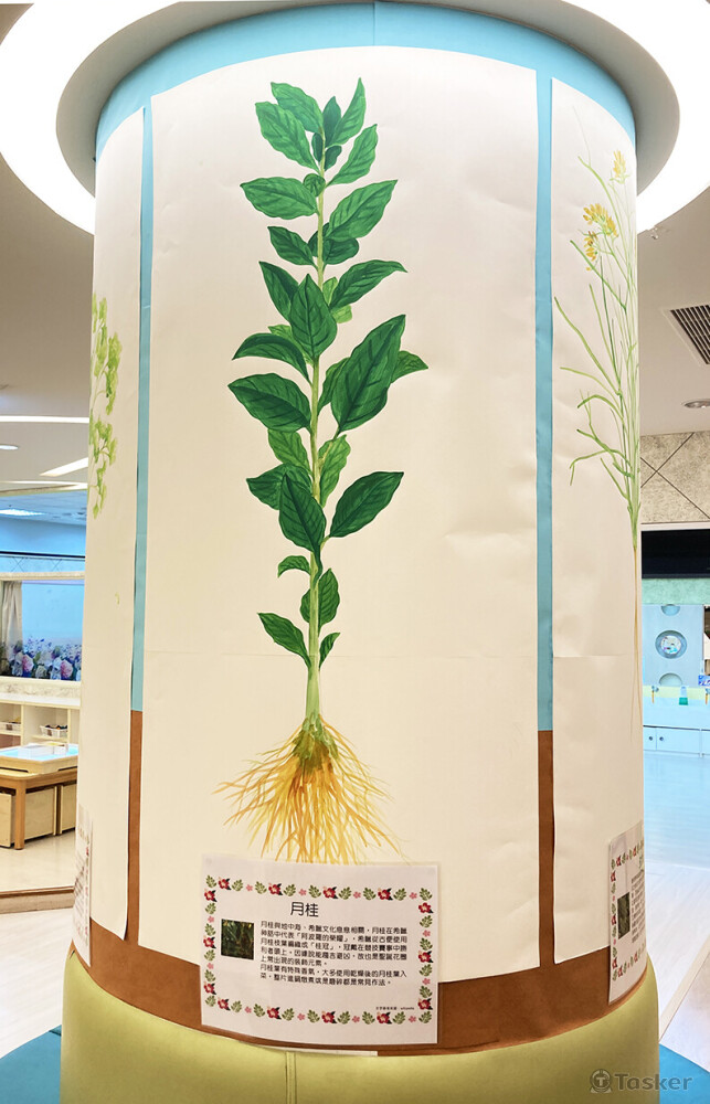 香料植物_壓克力於紙上