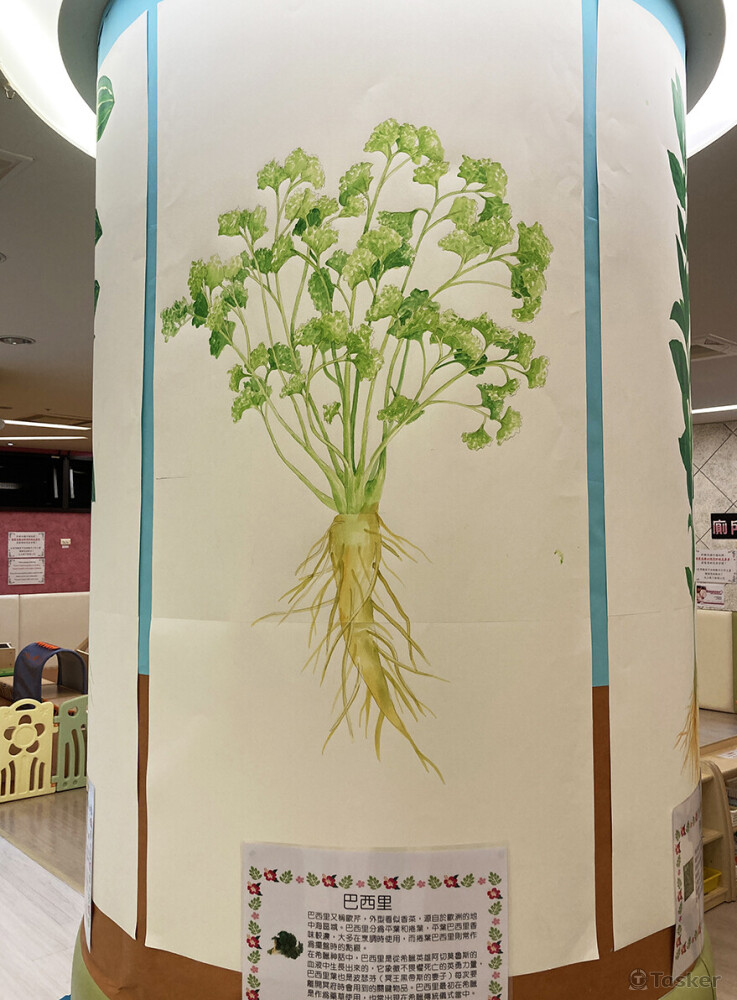 香料植物_壓克力於紙上