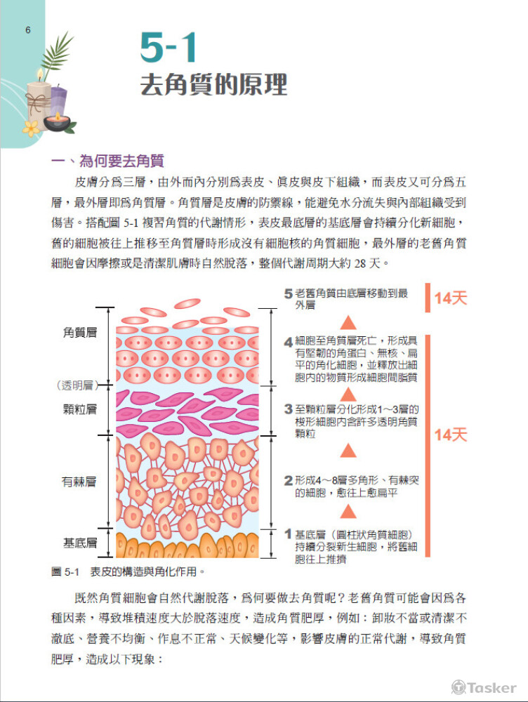 排版、文字潤飾