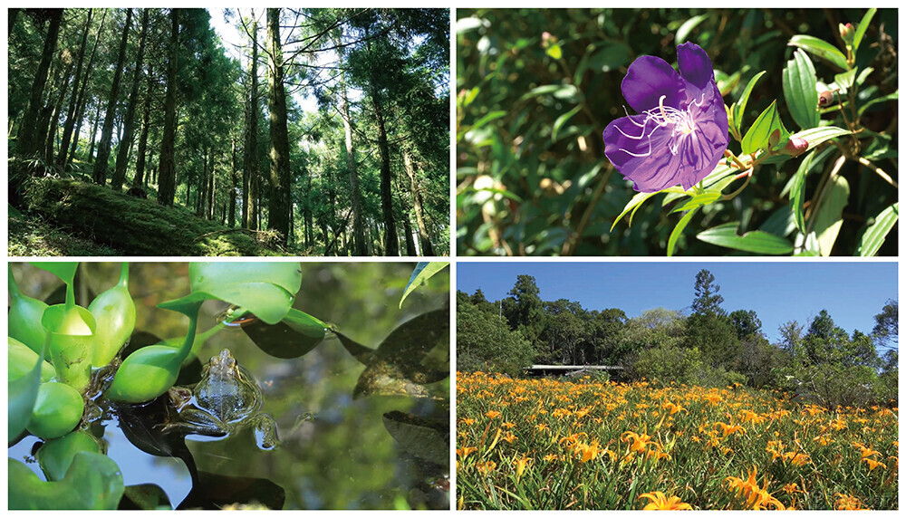 請至影音區觀看最終成品