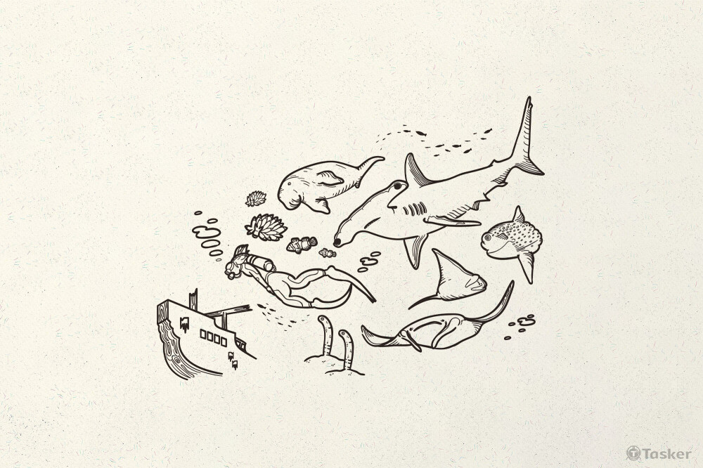 毛巾 | 客製化插畫設計