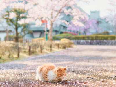 國際會館┃風格調色