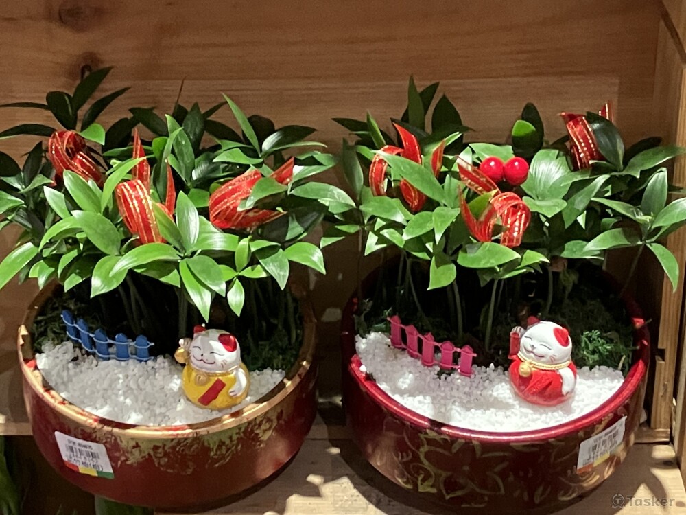 招財喵的綠建築