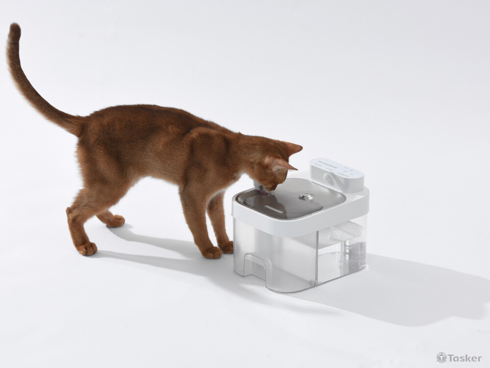 看似簡單的分離，其實是為了確保每口水都值得信任。