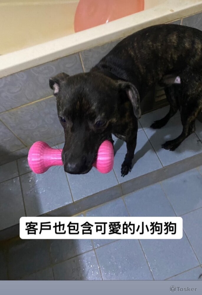 客戶也包含可愛的小狗狗