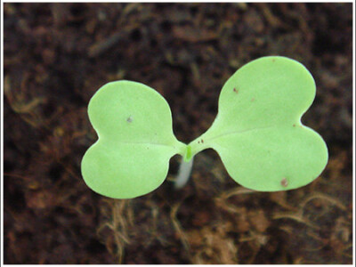 攝影、影像處理相簿