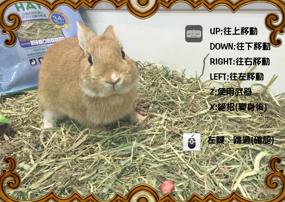 布利兔大冒險操作說明