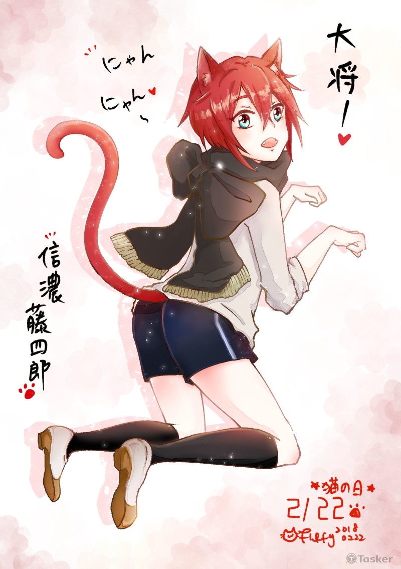 刀劍亂舞二創插圖 信濃貓貓日
