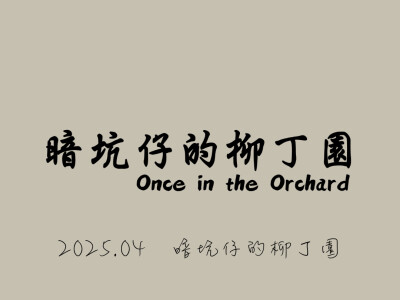 暗坑仔的柳丁園|Once in the Orchard