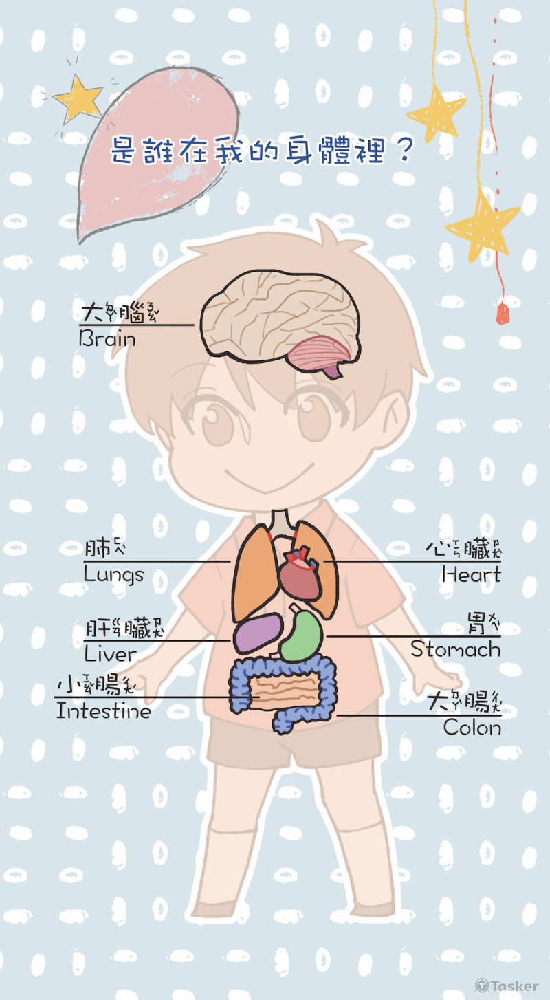 排版＿器官認識