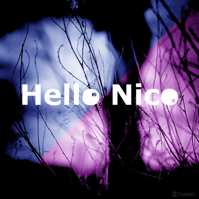 樂團HelloNico形象設計