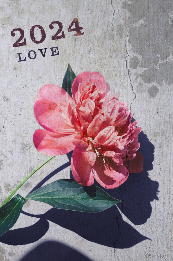 感性｜賀卡｜知性美