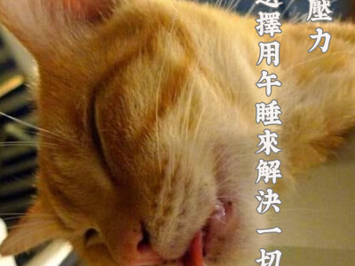 Social Media Graphics 社群媒體