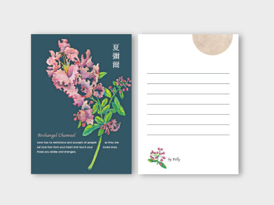 花✦手繪✦天使明信片