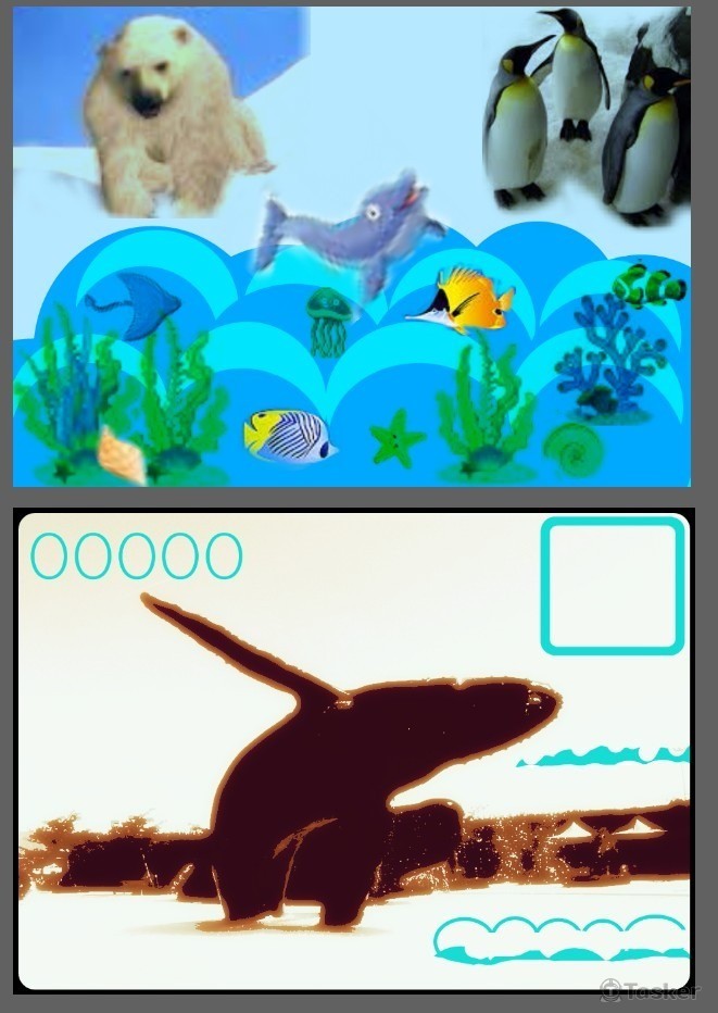 屏東海生館插畫(競標作品)