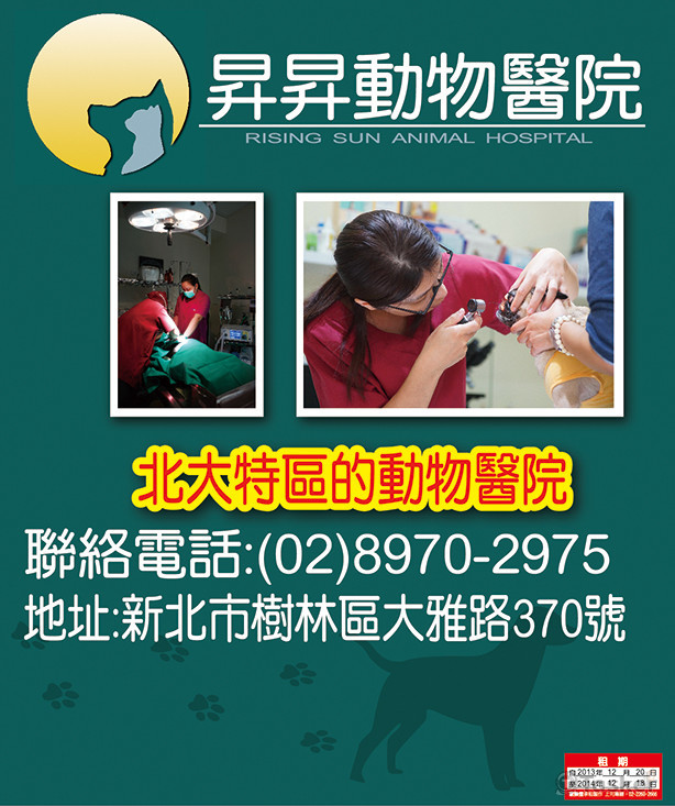 動物醫院外牆設計