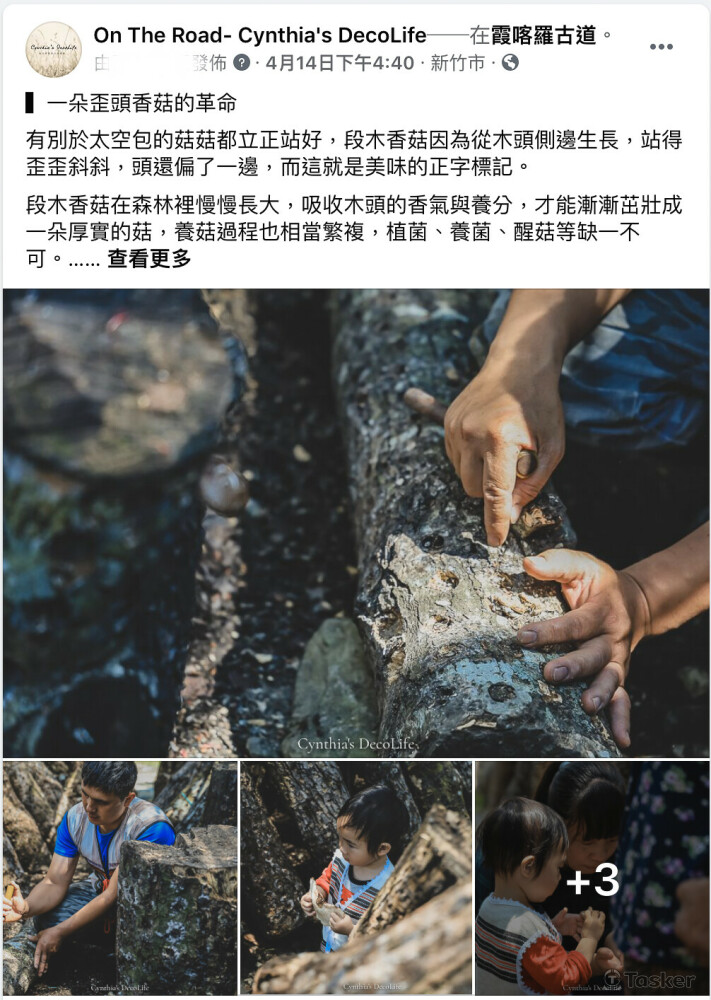 粉絲團經營、撰文、攝影