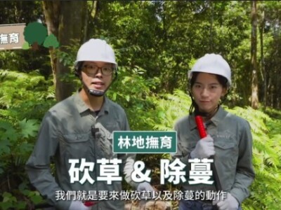 YT影片內容企劃與主持