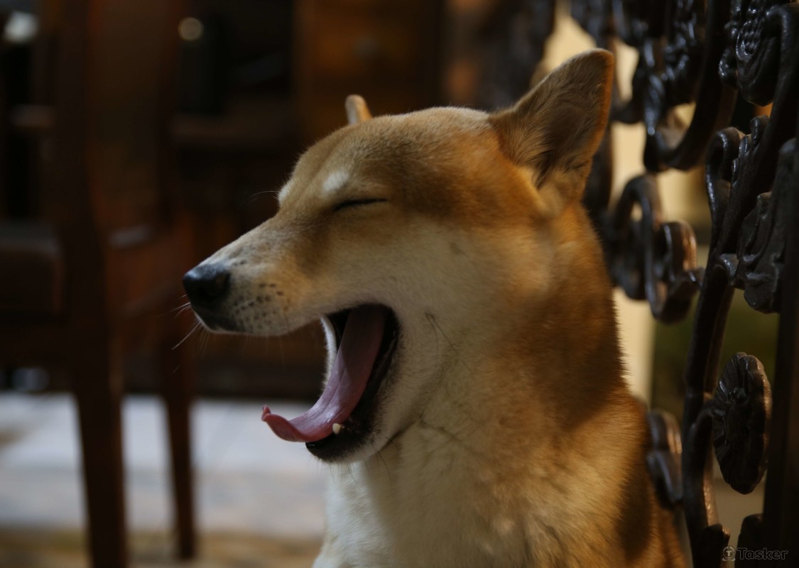 再累，也要完成每一個精彩瞬間。