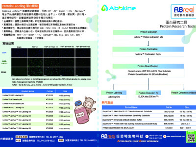 雙摺頁 型錄DM設計