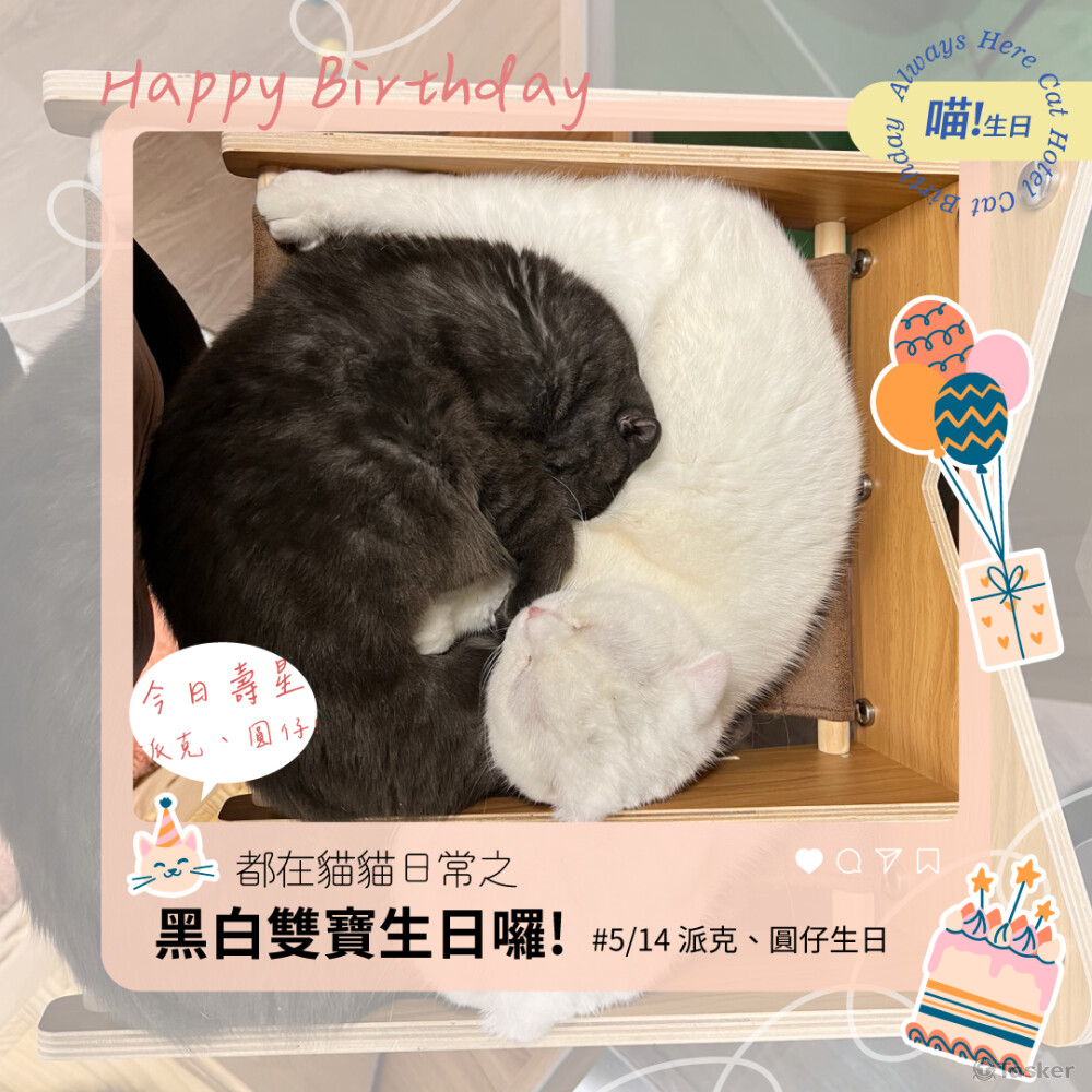 包月社群美編、圖文設計