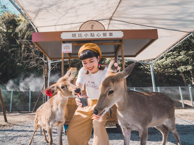 旅遊外拍Ｉ旅行拍攝