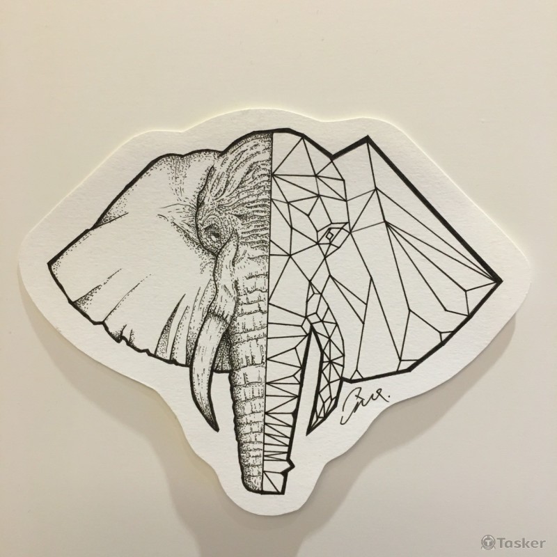 elephant