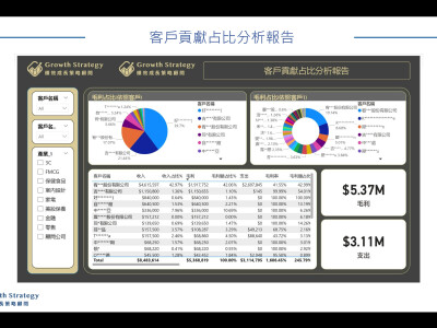 數據分析儀錶板 (電商、付費醫療、貸款小額廣告)