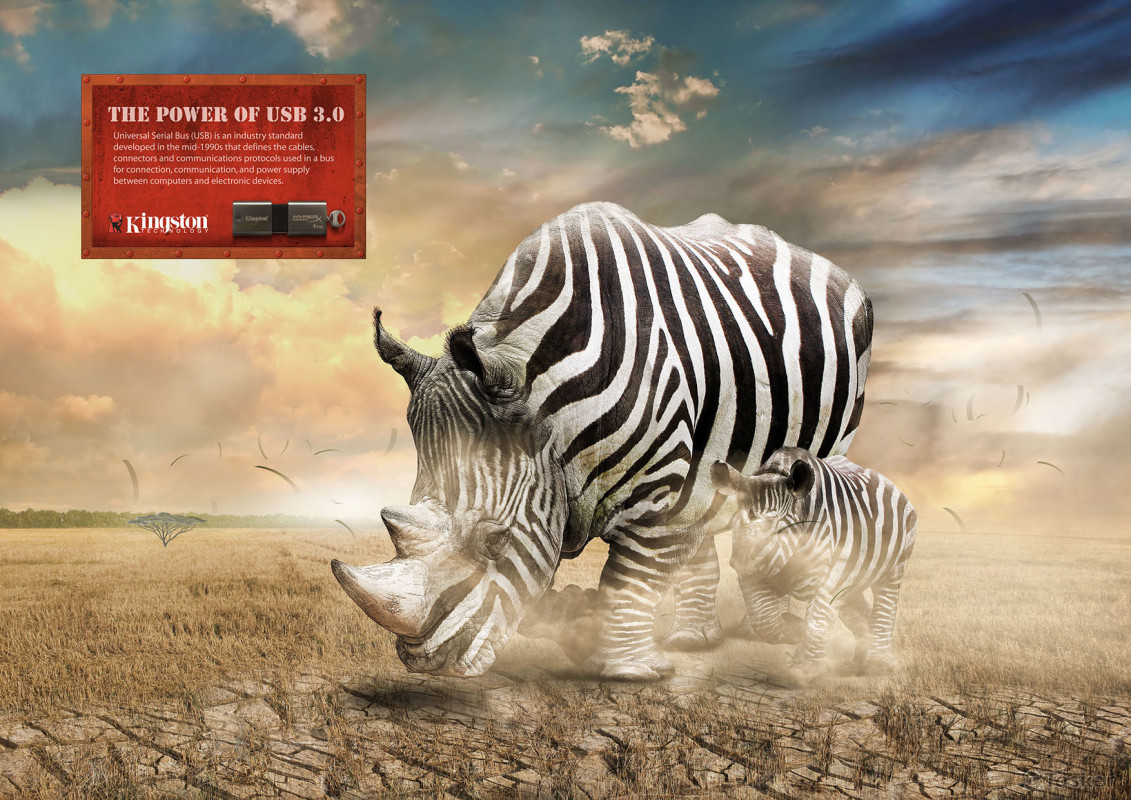 「快如斑馬、堅若犀牛」隨身碟