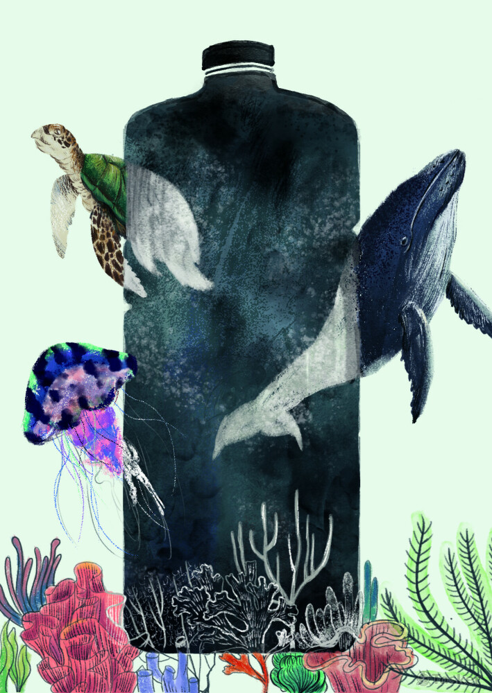 海洋保育明信片設計