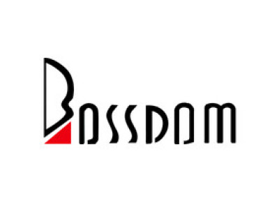 bossdom 百聿數碼創意