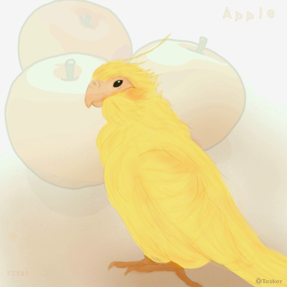 蘋果 (鸚鵡)