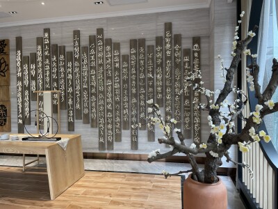 新中式健康中心完工照片