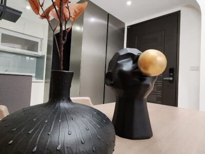 邰欣67期-實品屋軟裝布置