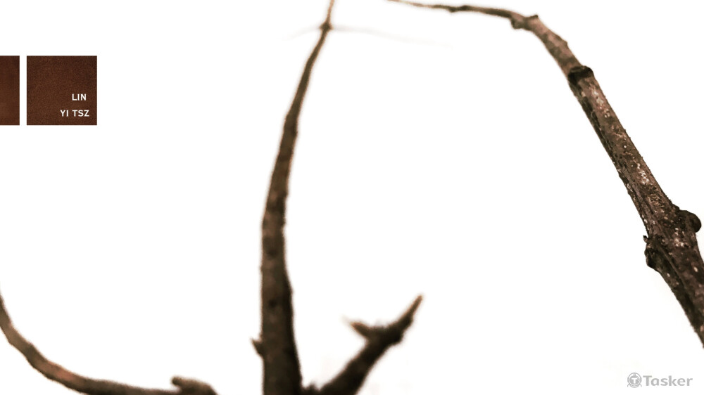 詳情請見個人檔案中作品網址