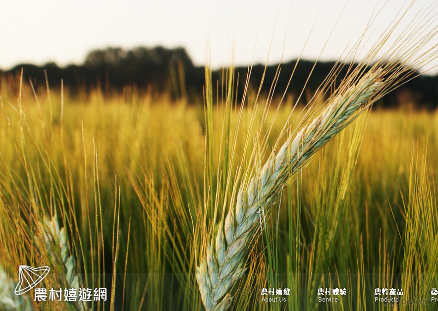 一般形象購物型平台