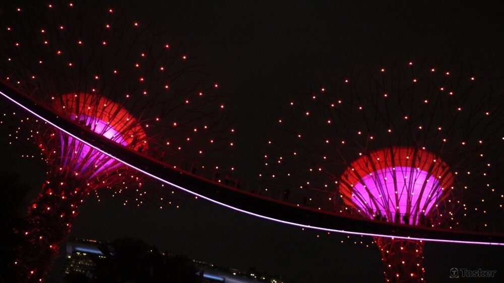 #走一天累了 躺著看超級樹燈光秀