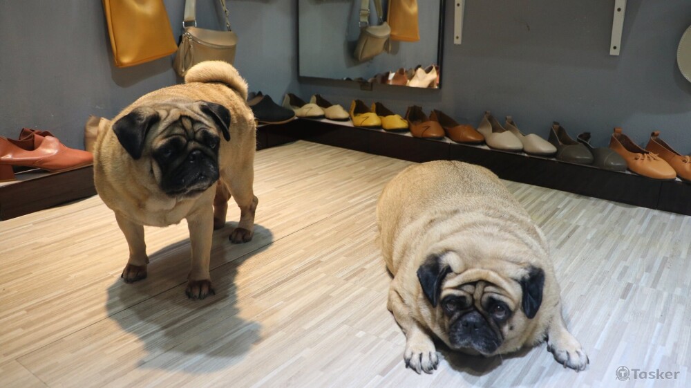 #阿拉伯區風景一隅