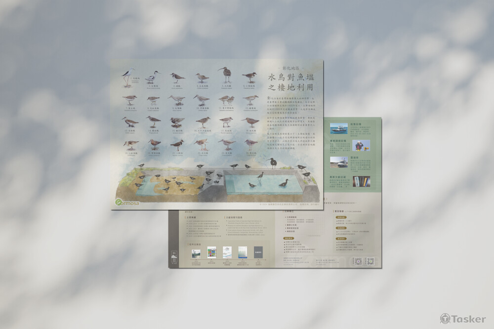 福爾摩沙自然史資訊｜A3尺寸海報，介紹彰化常見水鳥，下方插圖為水鳥常出沒棲地