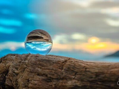 藝術裝置(紀錄)